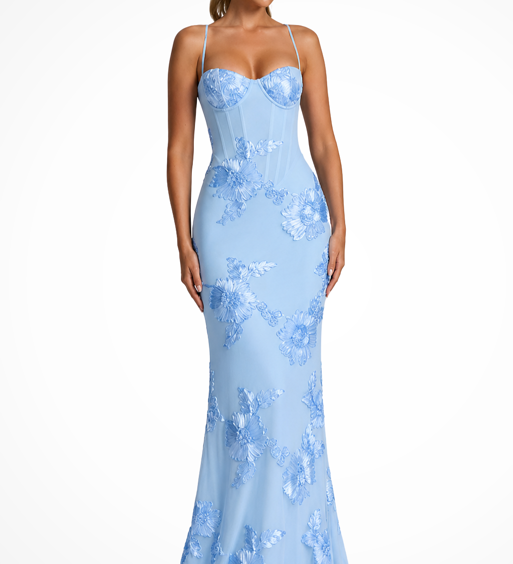 Valentina | Sieviešu Sweetheart Neck Ziedu Appliqué Kāzu Viesu Maxi Kleita